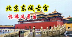 美女裸体被大鸡吧从后面插进来中国北京-东城古宫旅游风景区
